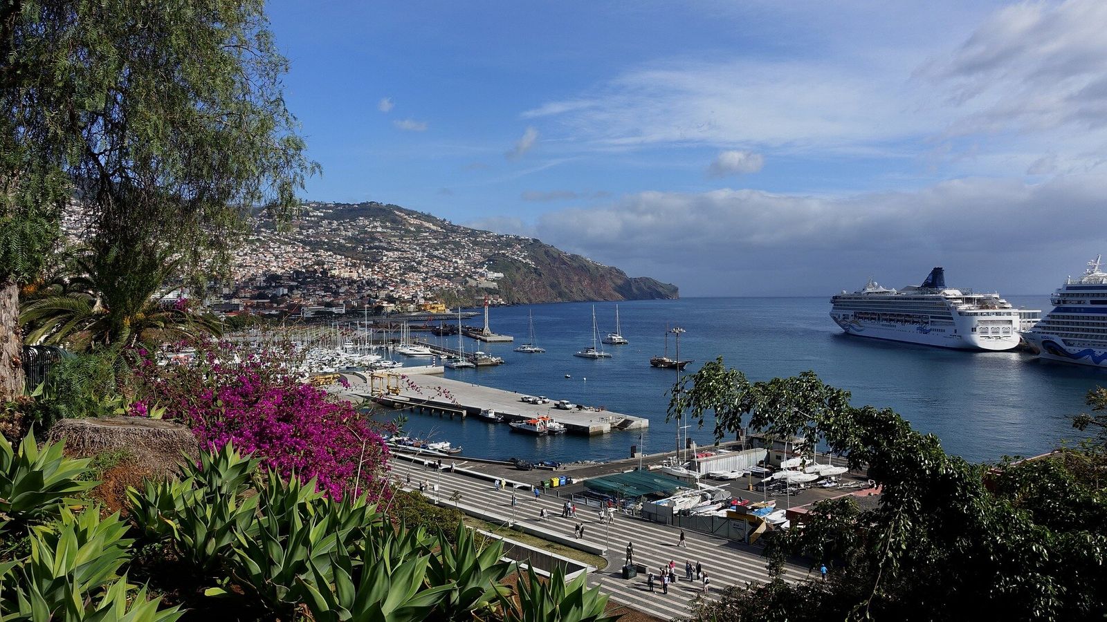 Car hire in \nMadeira
